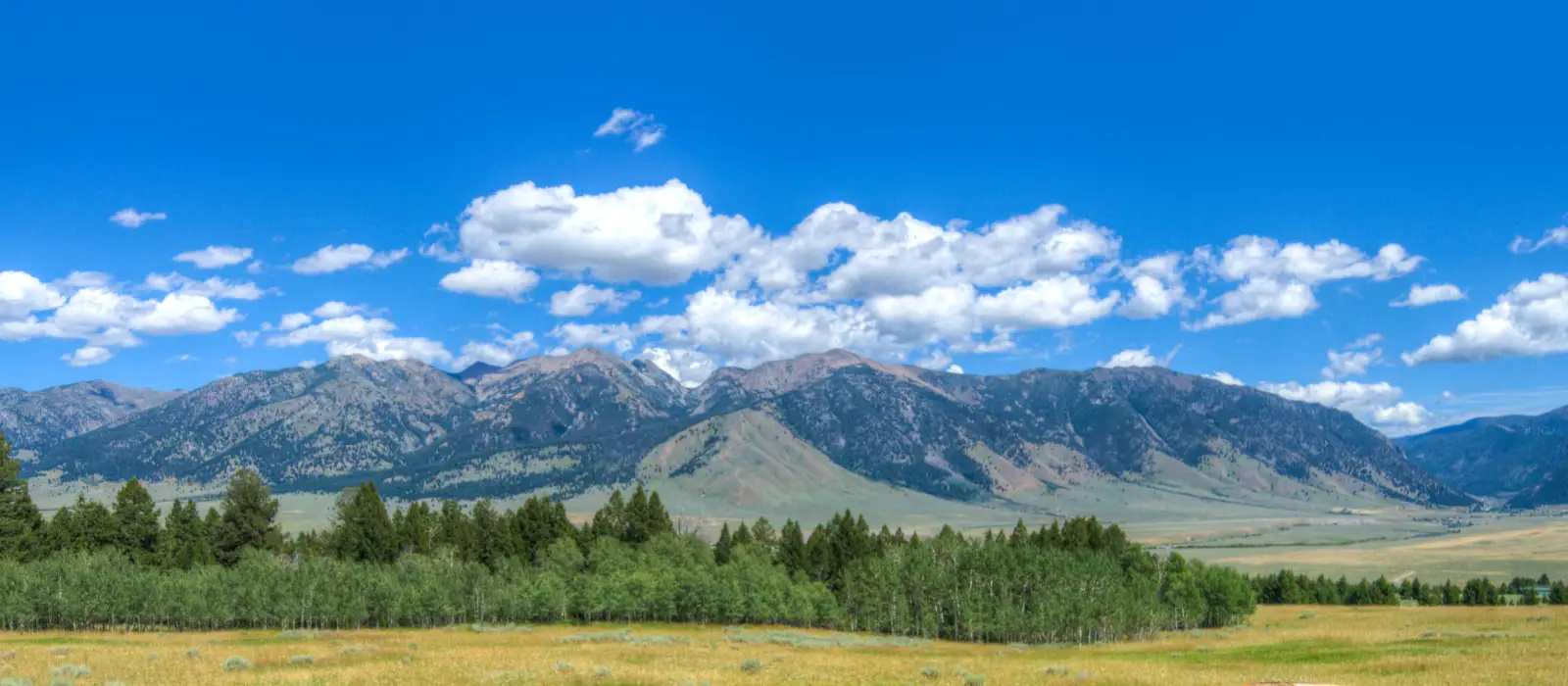 Learn More About Us Montana Way Ennis, Montana Vacation Rentals